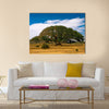 The Heroic Ficus Daaro Sycamore at Segheneyti, symbol of Eritrea multi panel canvas wall art