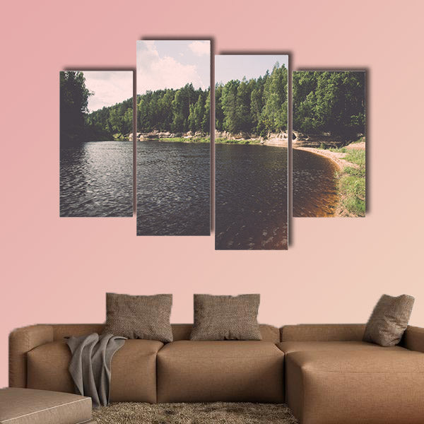 view to the mountain river in summer surrounded by fores vintage
