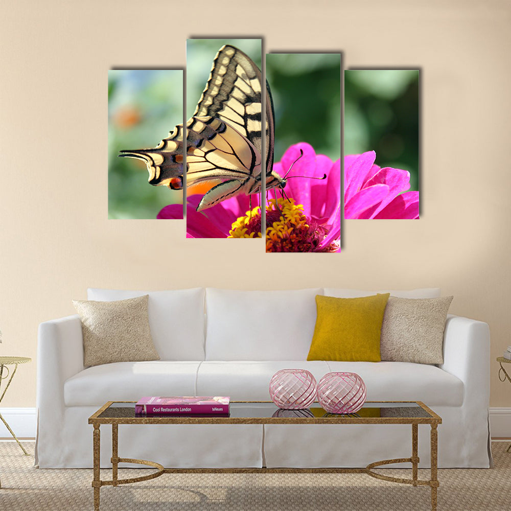 Butterfly (Papilio Machaon) sitting on flower (zinnia) Multi Panel Canvas Wall Art