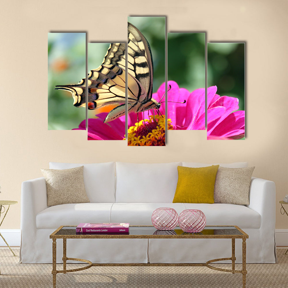 Butterfly (Papilio Machaon) sitting on flower (zinnia) Multi Panel Canvas Wall Art