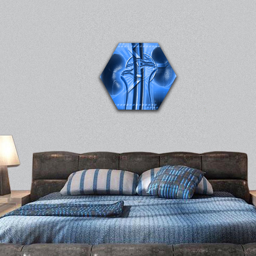Digital illustration of kidney in colour hexagonal canvas wall art