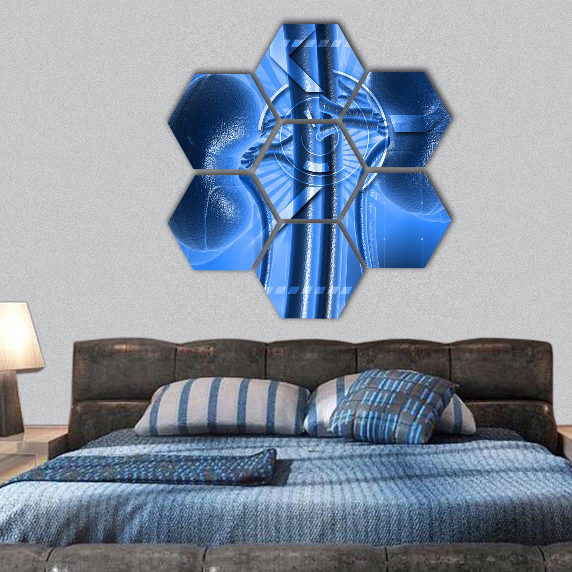 Digital illustration of kidney in colour hexagonal canvas wall art