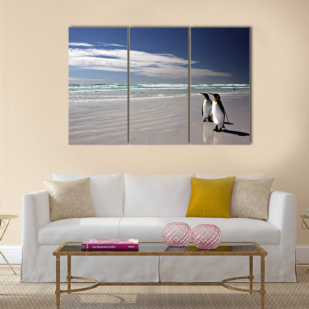 King Penguins at Volunteer Point on the Falkland Islands Multi Panel Canvas wall Art