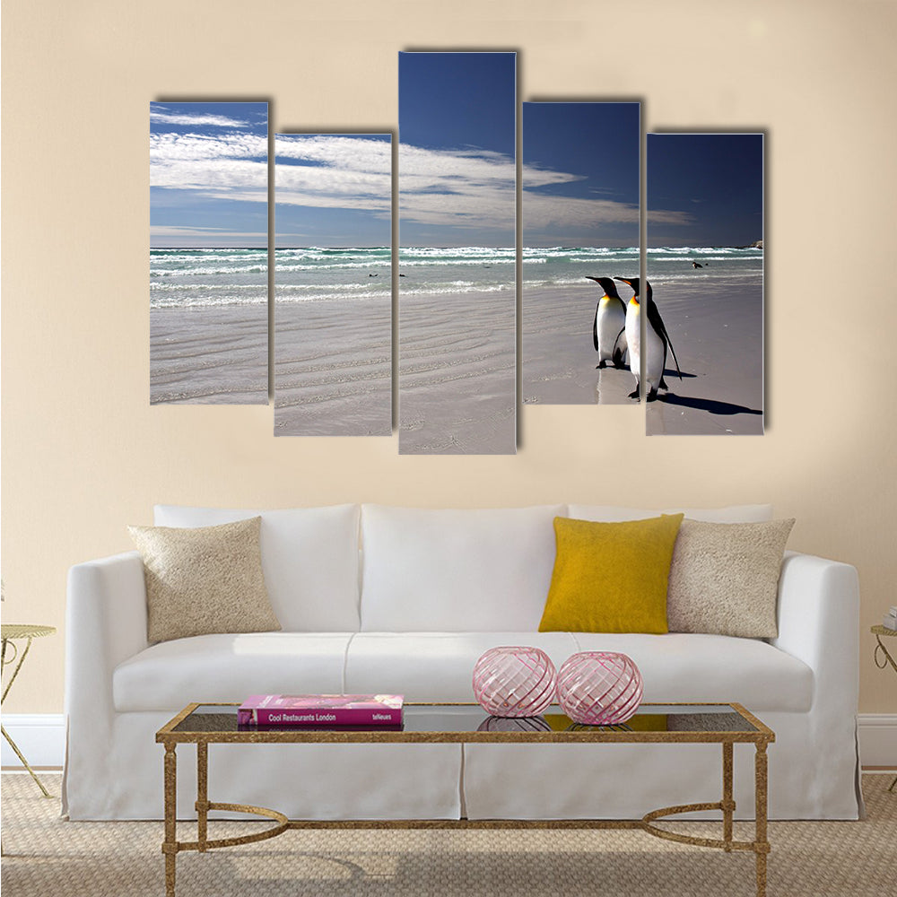 King Penguins at Volunteer Point on the Falkland Islands Multi Panel Canvas wall Art