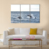 Humpback whales in wildlife swimming in the ocean during seasonal migration Multi panel canvas wall art