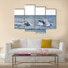 Humpback whales in wildlife swimming in the ocean during seasonal migration Multi panel canvas wall art