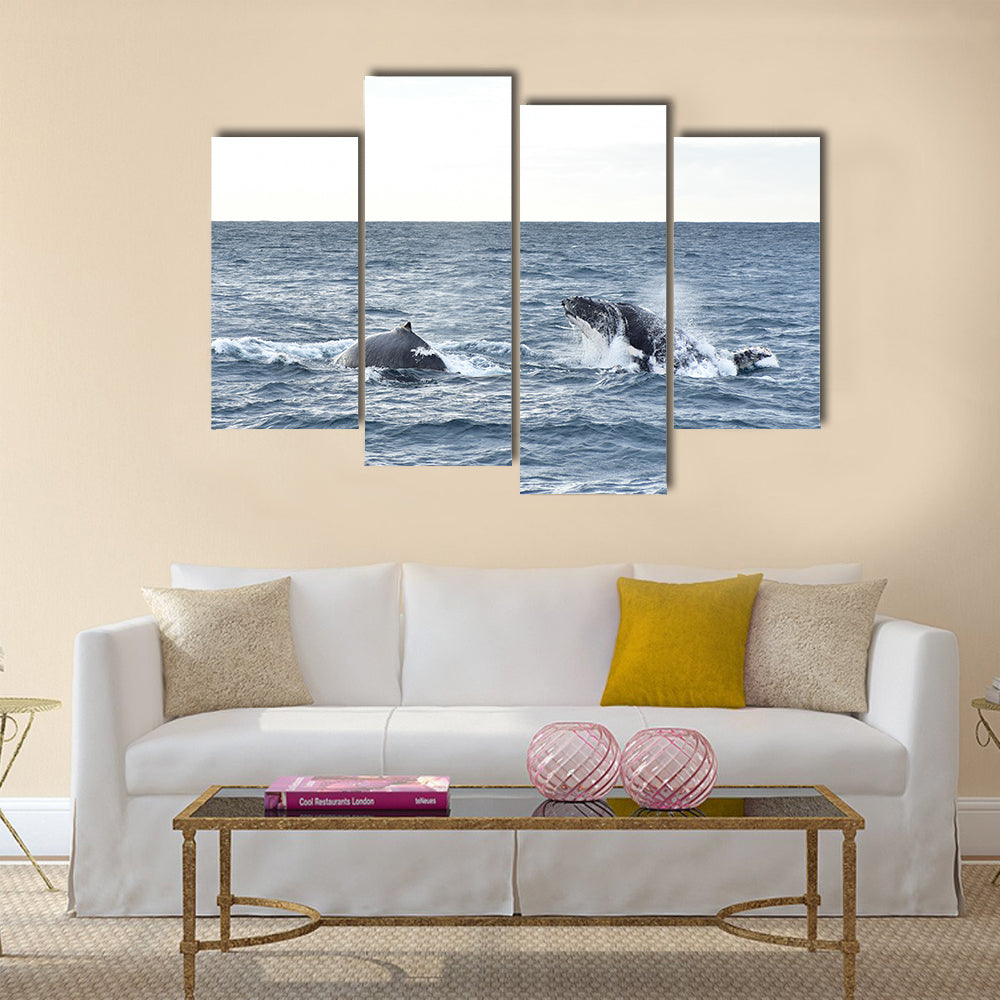Humpback whales in wildlife swimming in the ocean during seasonal migration Multi panel canvas wall art