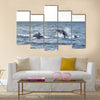 Humpback whales in wildlife swimming in the ocean during seasonal migration Multi panel canvas wall art