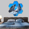 Couple of dolphin swimming in blue water hexagonal canvas wall art