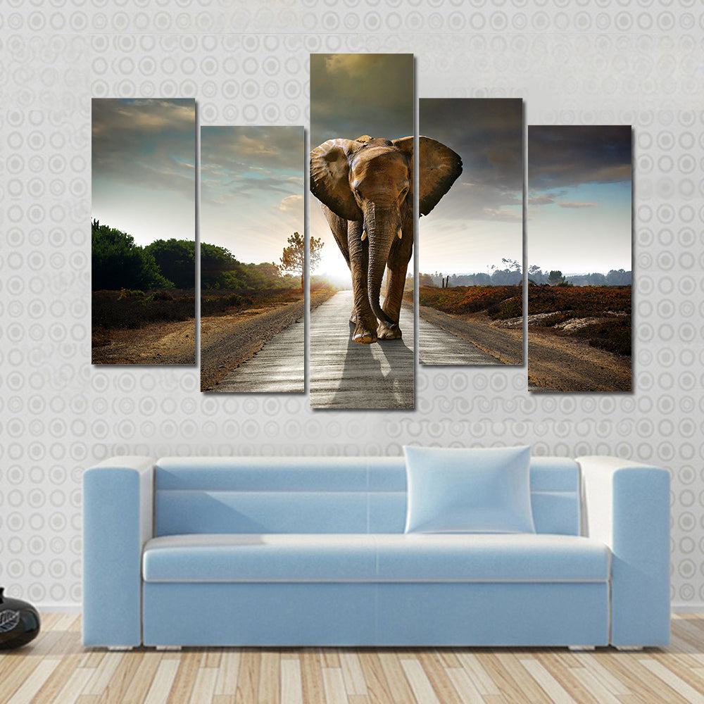 Single elephant walking in a road with the Sun from behind Multi panel canvas wall art