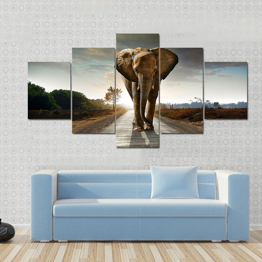 Single elephant walking in a road with the Sun from behind Multi panel canvas wall art