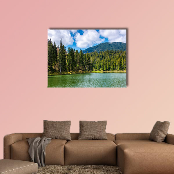 Mountain Lake Synevir among the green spruce forest wall art