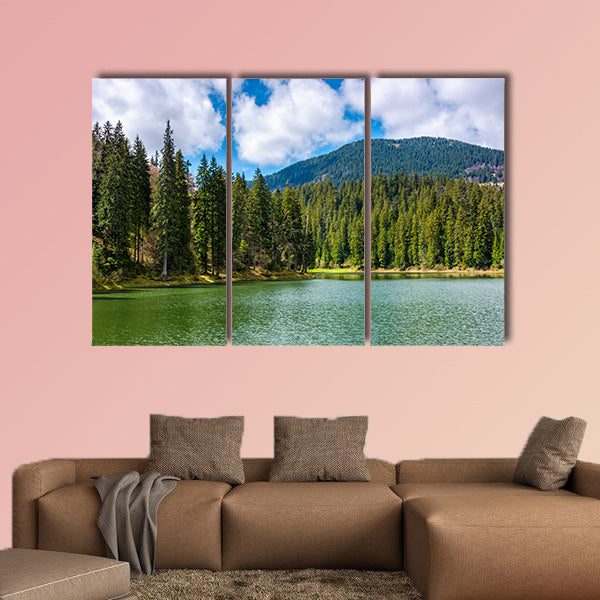 Mountain Lake Synevir among the green spruce forest wall art