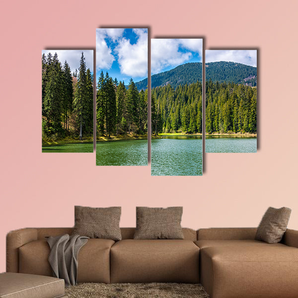 Mountain Lake Synevir among the green spruce forest wall art