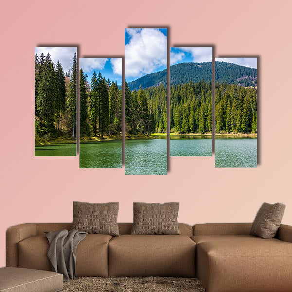 Mountain Lake Synevir among the green spruce forest wall art