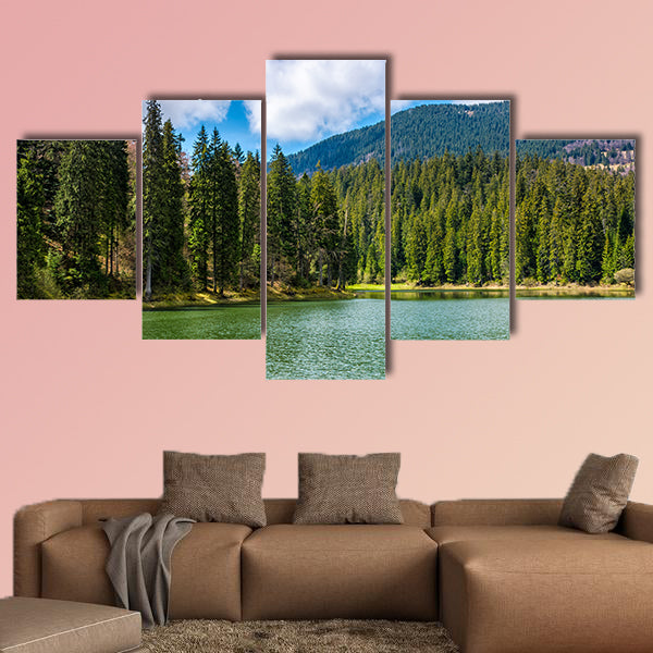 Mountain Lake Synevir among the green spruce forest wall art