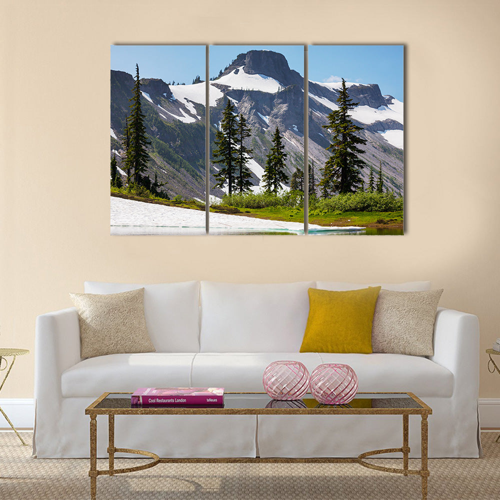 view of Mt. Baker recreation area, Washington, USA multi panel canvas wall art