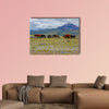 Herd of beautiful wild horses in the National Park Cotopaxi wall art