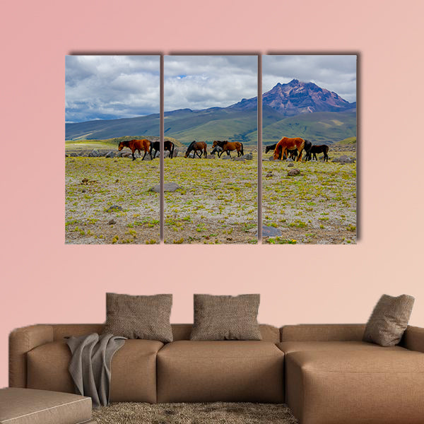 Herd of beautiful wild horses in the National Park Cotopaxi wall art