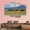 Herd of beautiful wild horses in the National Park Cotopaxi wall art