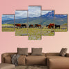 Herd of beautiful wild horses in the National Park Cotopaxi wall art