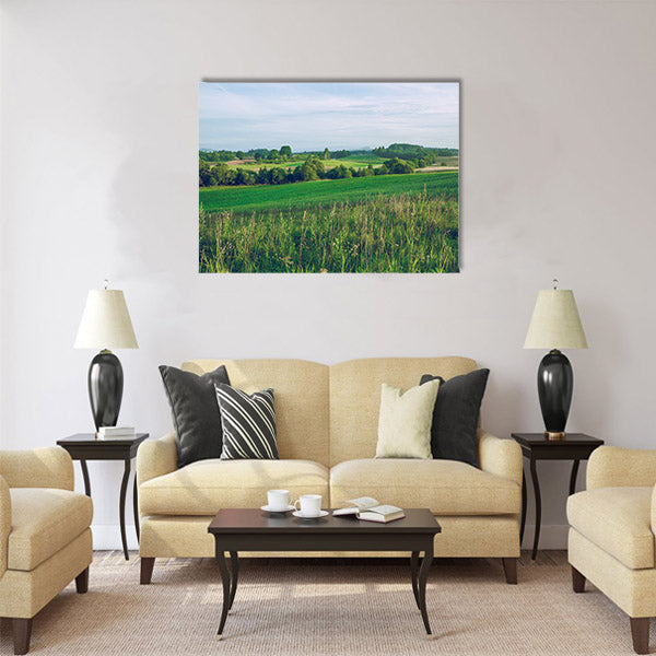 Meadow in summer tieme. 2016 Multi panel canvas wall art