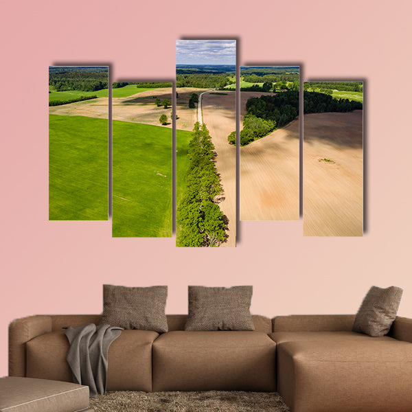 Drone image, the aerial view of rural area with freshly cultivated fields