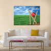 Grass and cricket set with blue sky Multi panel canvas Wall art