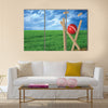 Grass and cricket set with blue sky Multi panel canvas Wall art