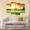 Sunset on golf field Multi panel canvas wall art