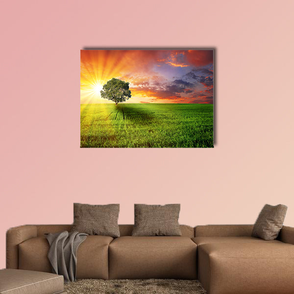 Alone tree on the green meadow at sunset multi panel canvas wall art