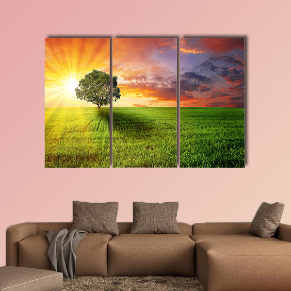 Alone tree on the green meadow at sunset multi panel canvas wall art