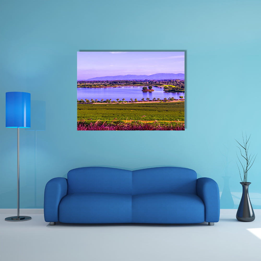 Tea plantation with lake in Thai Thailand Multi Panel Canvas Wall Art