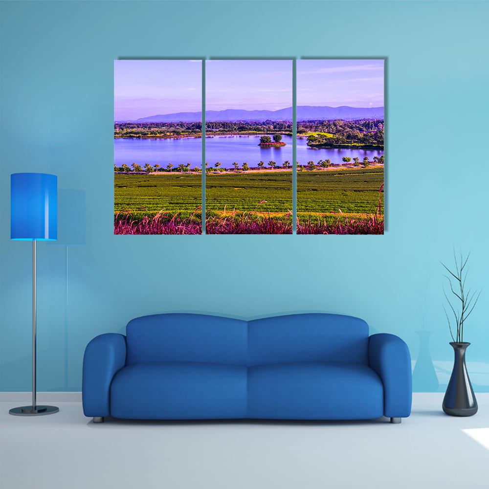 Tea plantation with lake in Thai Thailand Multi Panel Canvas Wall Art