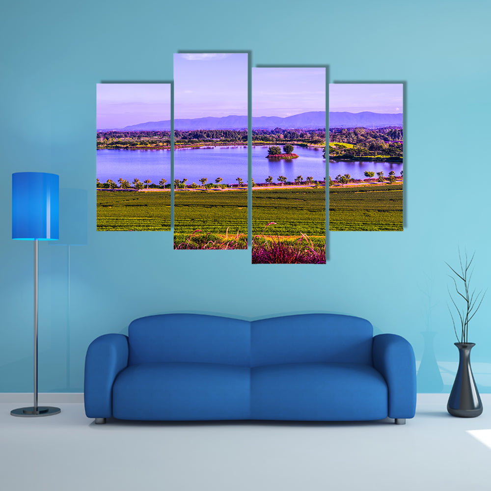 Tea plantation with lake in Thai Thailand Multi Panel Canvas Wall Art