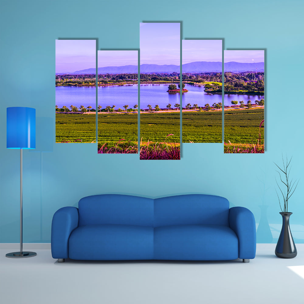 Tea plantation with lake in Thai Thailand Multi Panel Canvas Wall Art