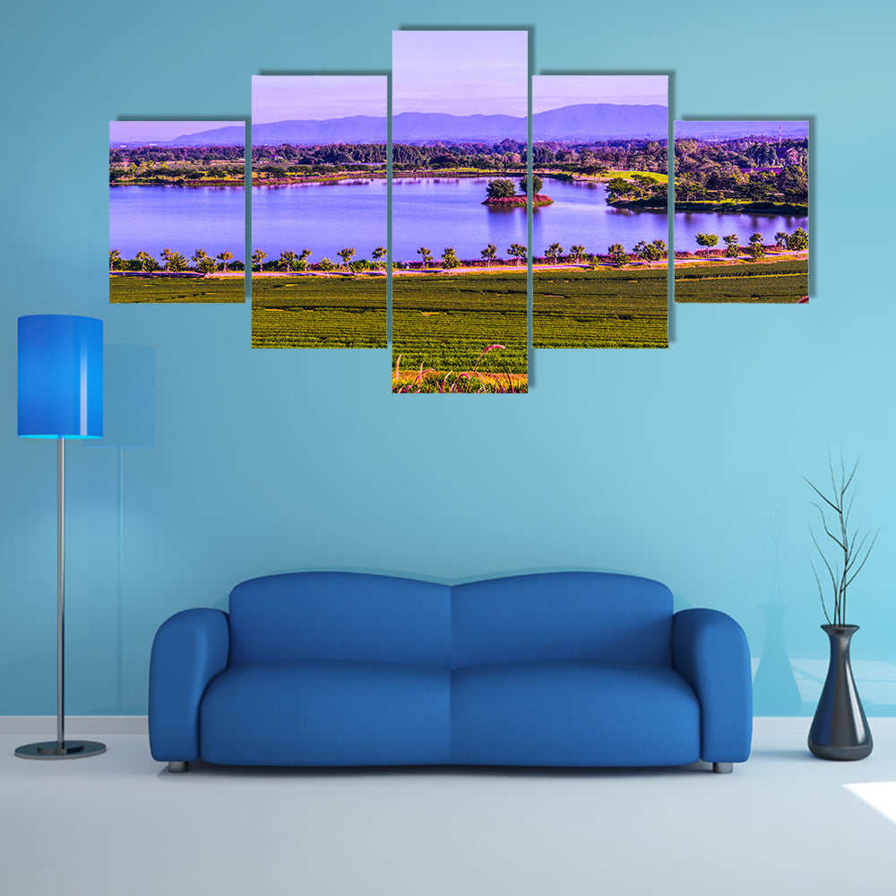 Tea plantation with lake in Thai Thailand Multi Panel Canvas Wall Art