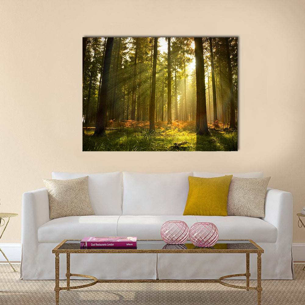 A beautiful forest at dusk multi panel canvas wall art