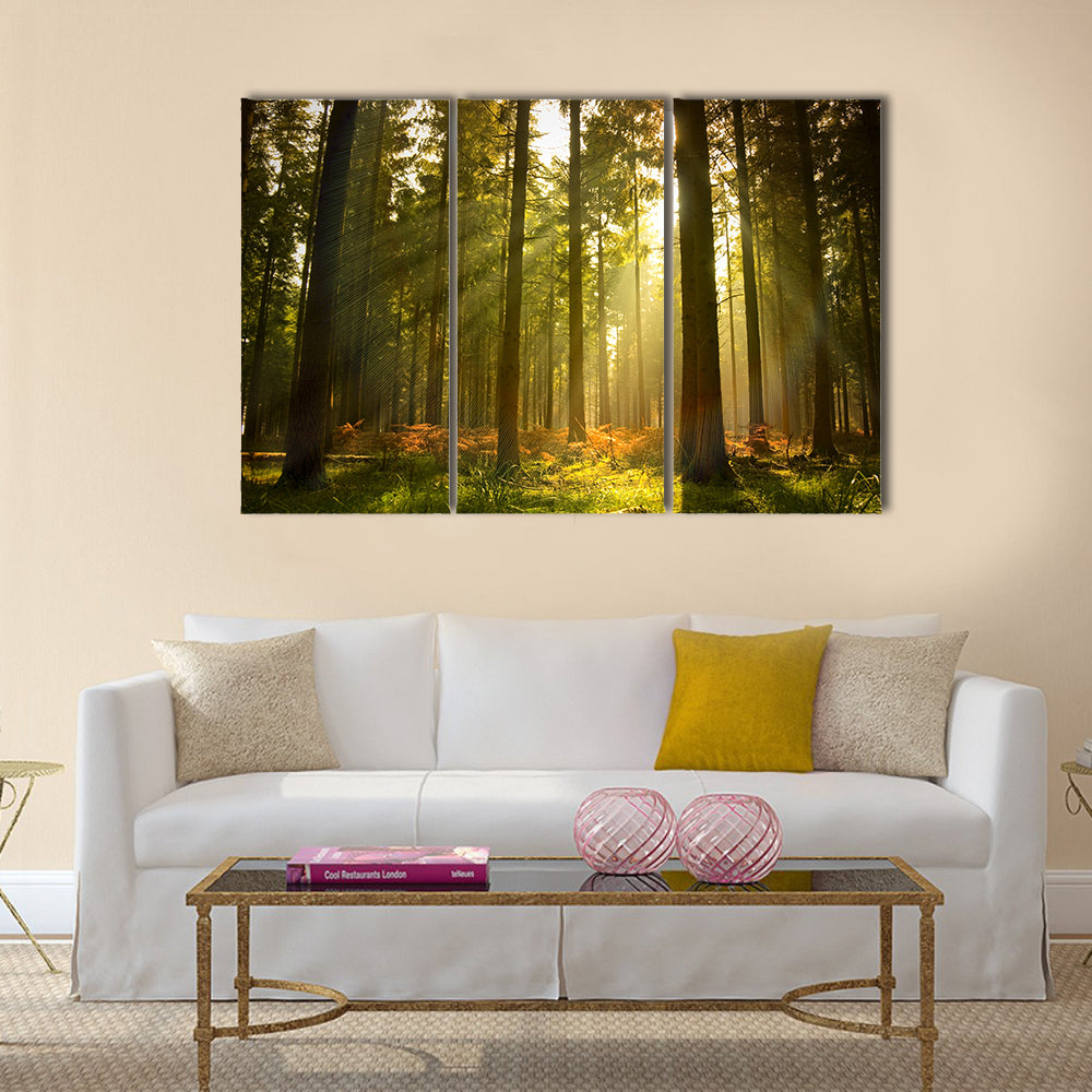 A beautiful forest at dusk multi panel canvas wall art