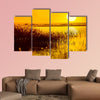 Reed stalks in the swamp against sunlight Multi panel canvas wall art