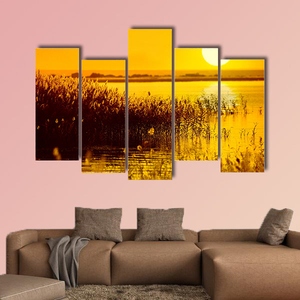 Reed stalks in the swamp against sunlight Multi panel canvas wall art