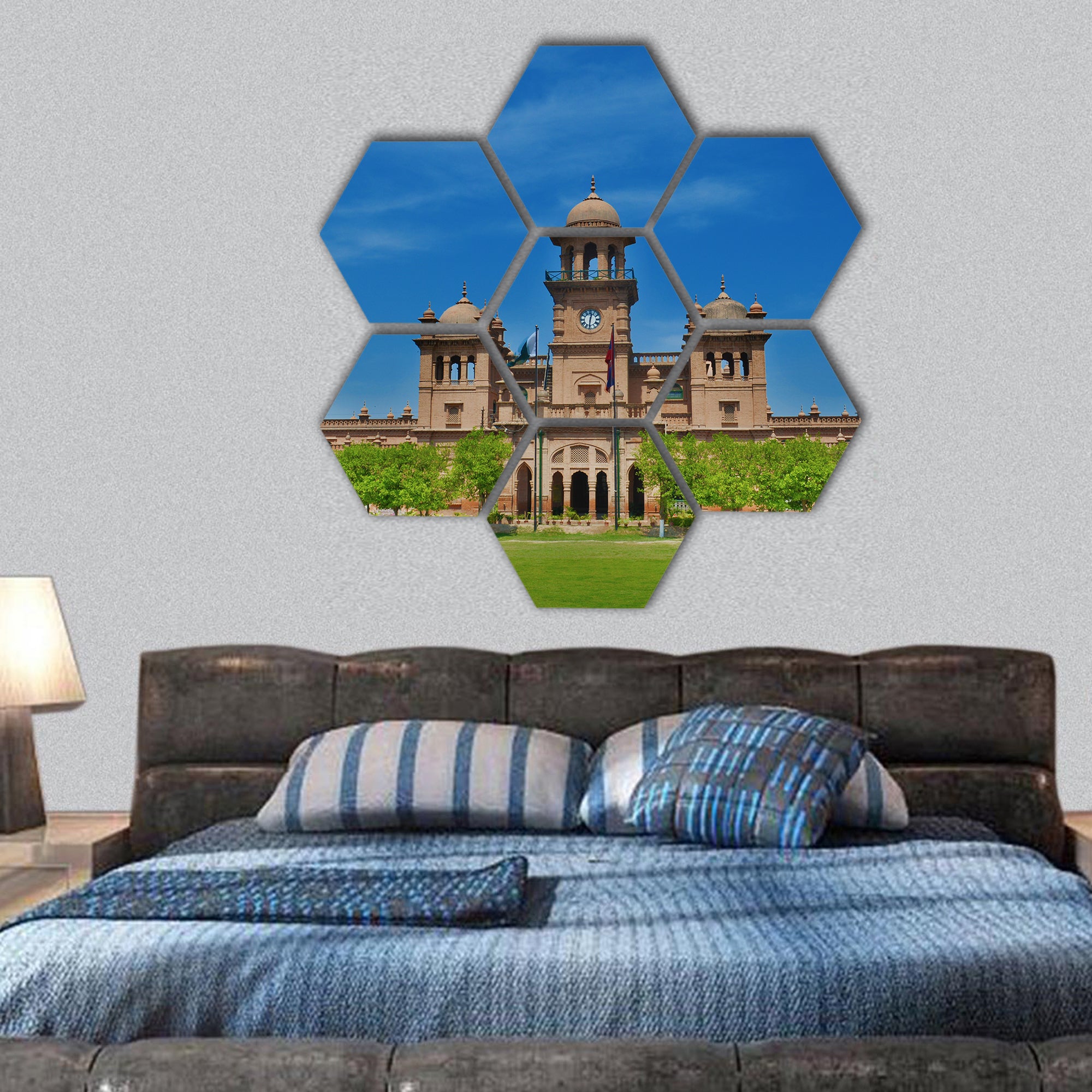 Peshawar University hexagonal canvas wall art