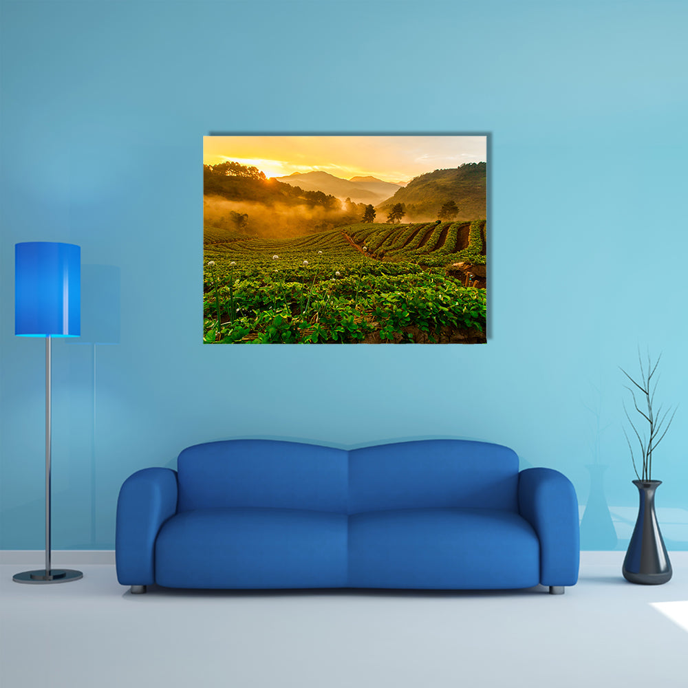 The Strawberry garden at Doi Ang Khang, Chiang Mai, Thailand Multi Panel canvas wall art