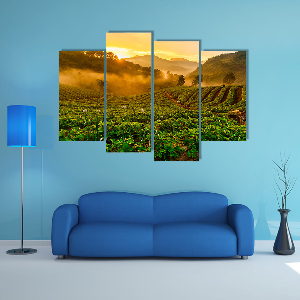 The Strawberry garden at Doi Ang Khang, Chiang Mai, Thailand Multi Panel canvas wall art