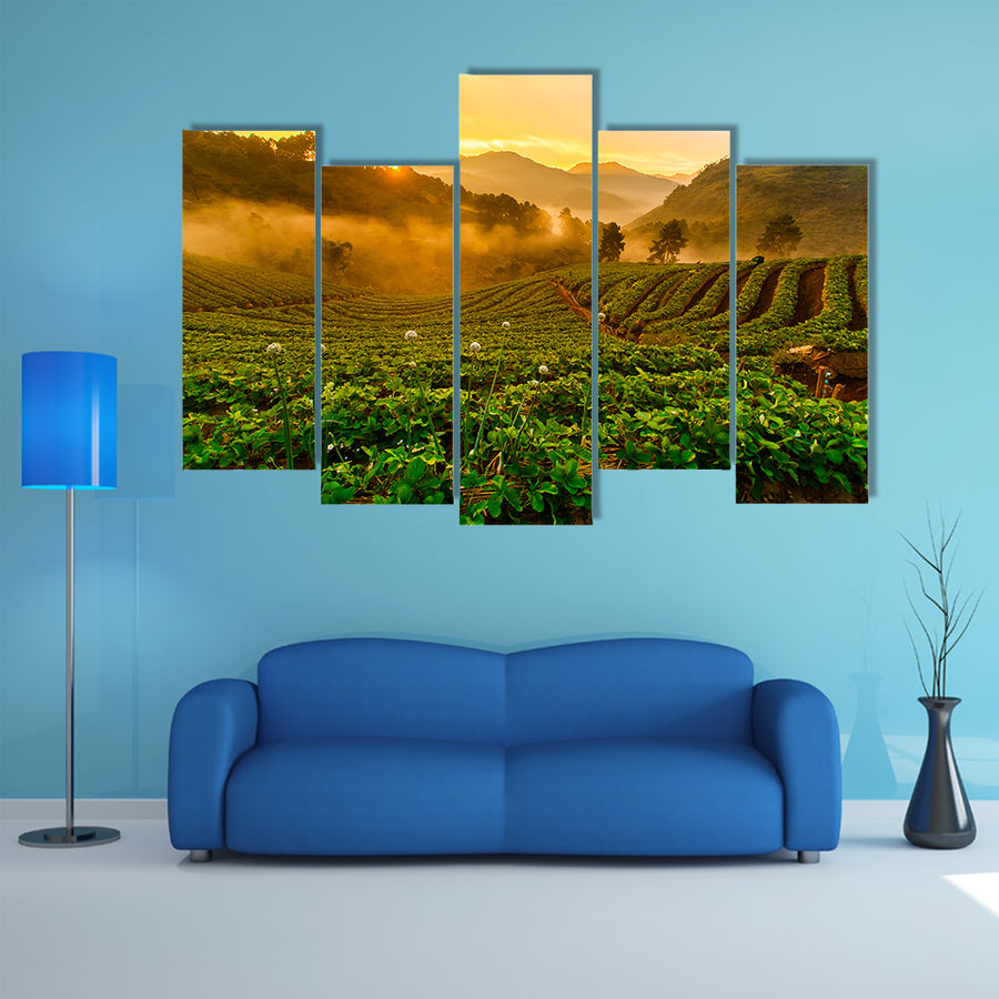 The Strawberry garden at Doi Ang Khang, Chiang Mai, Thailand Multi Panel canvas wall art