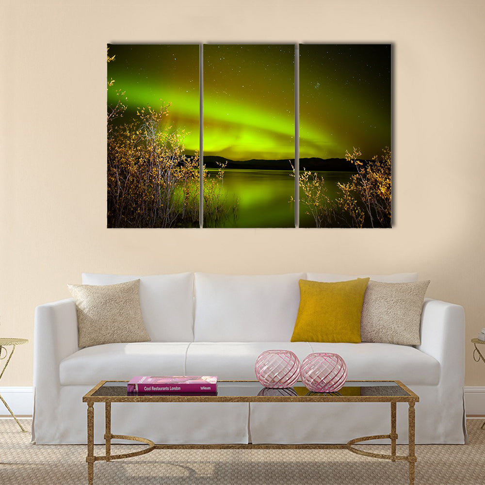 Intense northern lights (Aurora borealis) over Lake Laberge, Yukon Territory, Canada, with fall colored willows on lake shore Multi panel canvas wall art