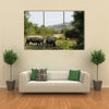 White Rhino in the Krueger National Park Multi panel canvas wall art