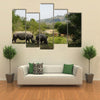 White Rhino in the Krueger National Park Multi panel canvas wall art