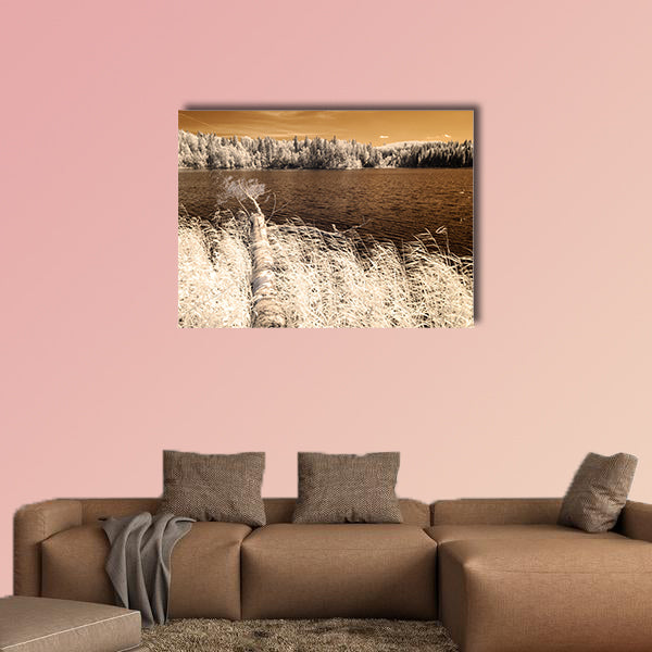 Forest by the lake in hot summer day multi panel canvas wall art