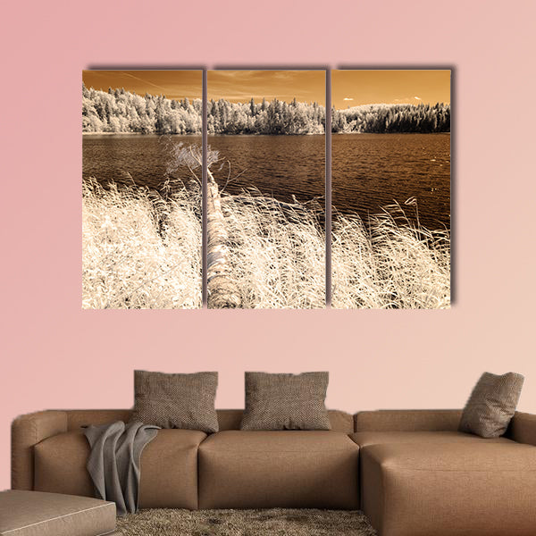 Forest by the lake in hot summer day multi panel canvas wall art